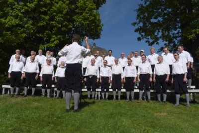 Bergfinken auf dem Spizberg am 05. Mai 2018